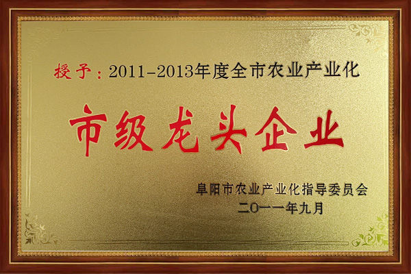 2011-2013年市级龙头企业